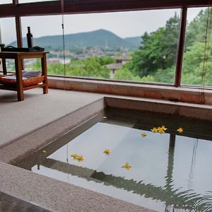 Double Room Mountain View